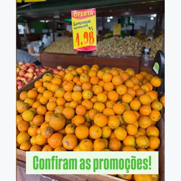 Laranja Comum