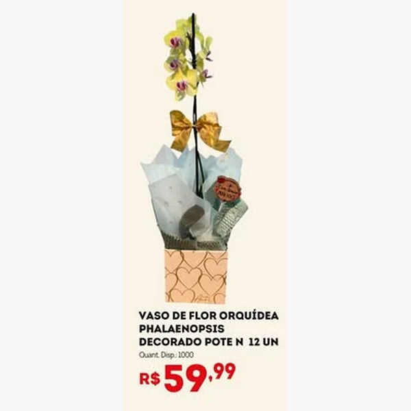 Recorte do encarte de Vaso de Flor Orquídea Phalaenopsis Decorado 12 un