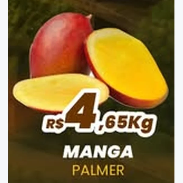 Manga Palmer