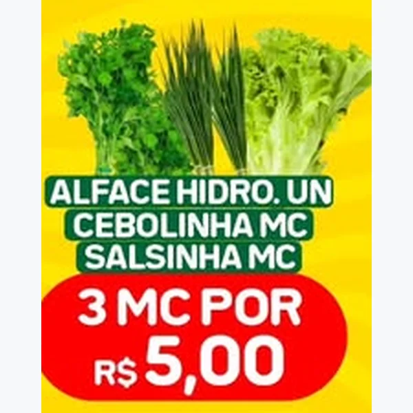 Alface Hidropônica