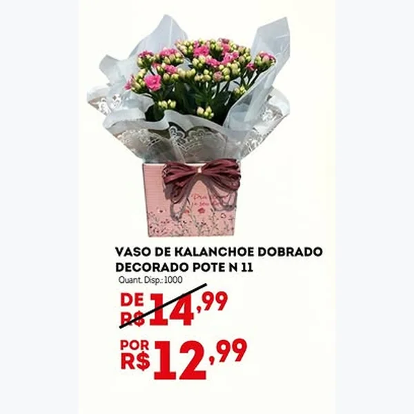 Recorte do encarte de Vaso de Kalanchoe Dobrado Decorado Pote N 11