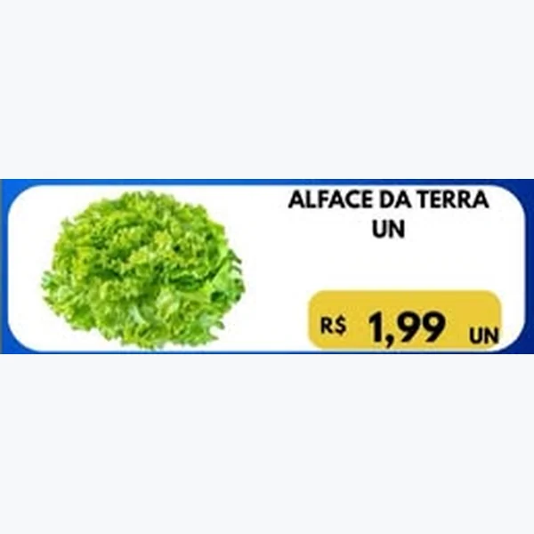 Alface da Terra