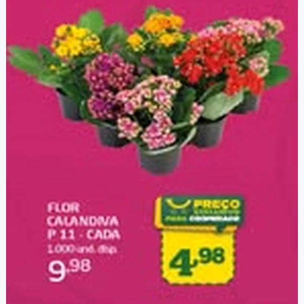 Recorte do encarte de Flor Calandiva P 11
