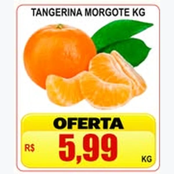 Tangerina Morgote