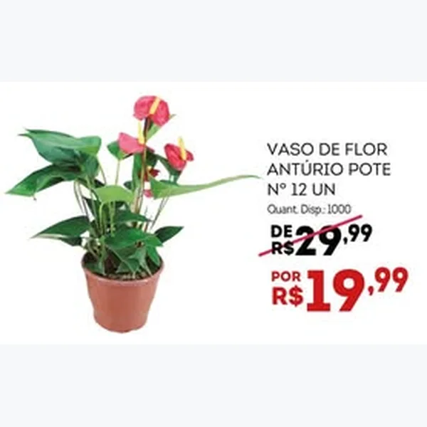 Recorte do encarte de Vaso de Flor Antúrio 12 un