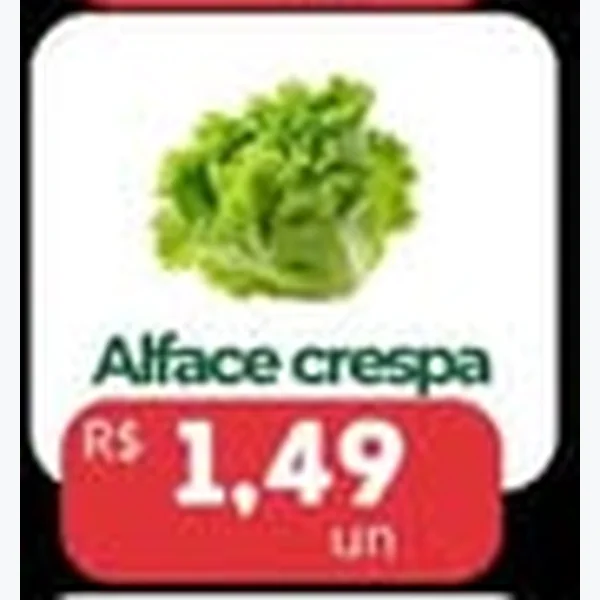 Alface Crespa