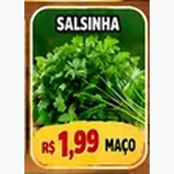 Salsinha
