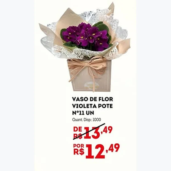 Recorte do encarte de Vaso de Flor Violeta Pote Nº 11