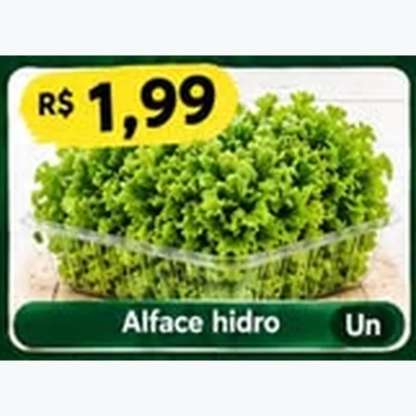 Alface Hidro