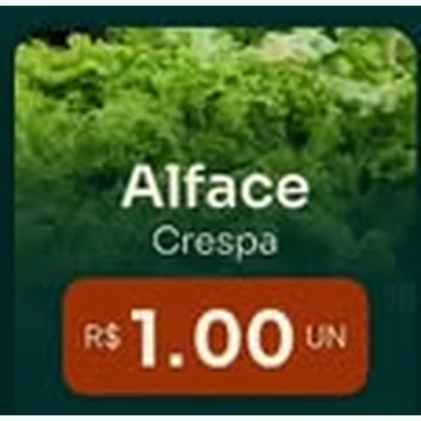 Recorte do encarte de Alface Crespa