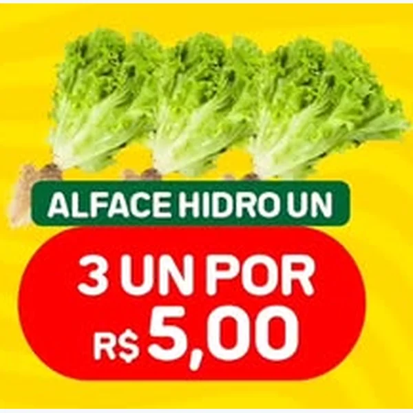 Alface Hidropônica