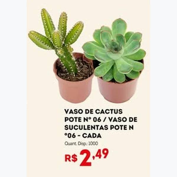 Recorte do encarte de Cactus Pote Nº 06