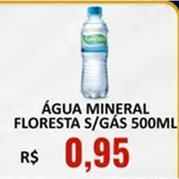 Água Mineral S/gás Floresta 500 ml
