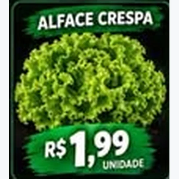 Alface Crespa