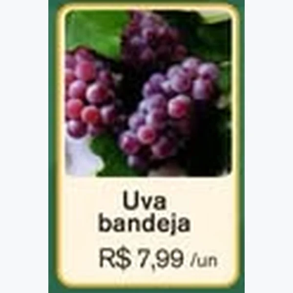 Recorte do encarte de Uva