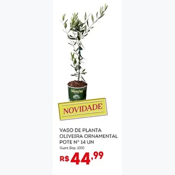 Recorte do encarte de Vaso de Planta Oliveira Ornamental 14 un