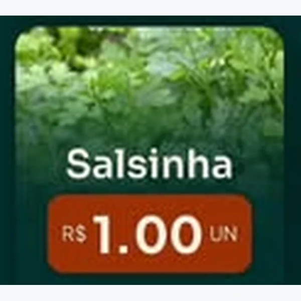 Salsinha