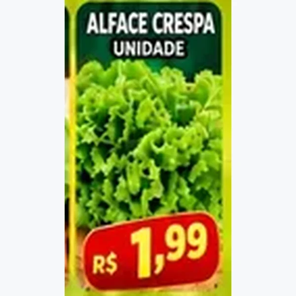 Alface Crespa