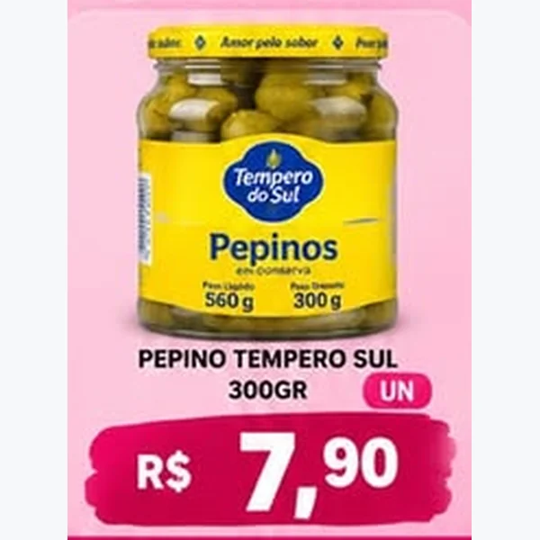 Pepinos em Conserva Tempero Sul 300 g