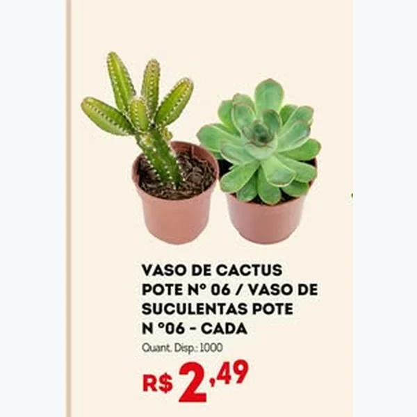 Recorte do encarte de Vaso de Cactus Pote Nº 06