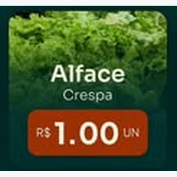 Alface Crespa