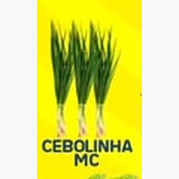 Recorte do encarte de Cebolinha