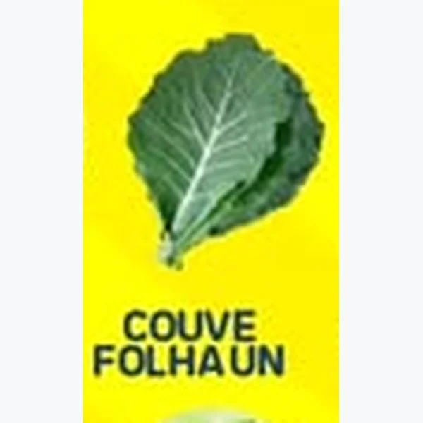 Recorte do encarte de Couve Folha