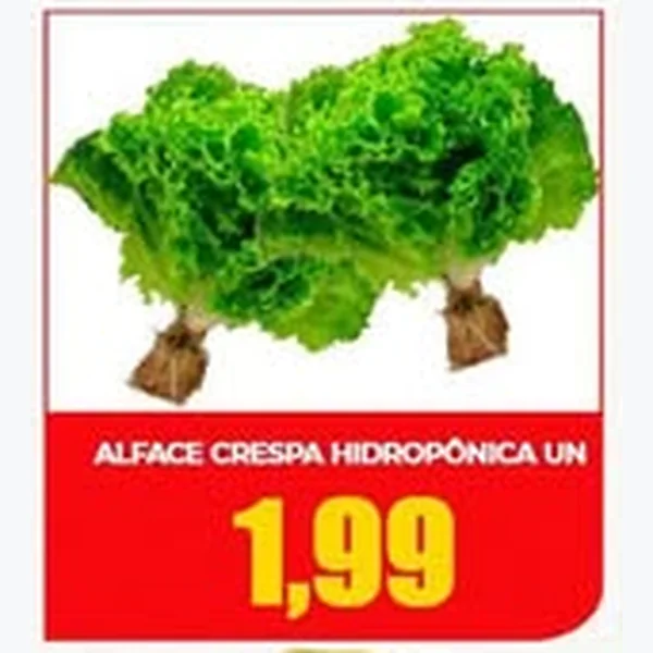 Recorte do encarte de Alface Crespa Hidropônica