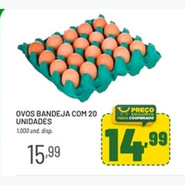 Ovos de galinha 20 un