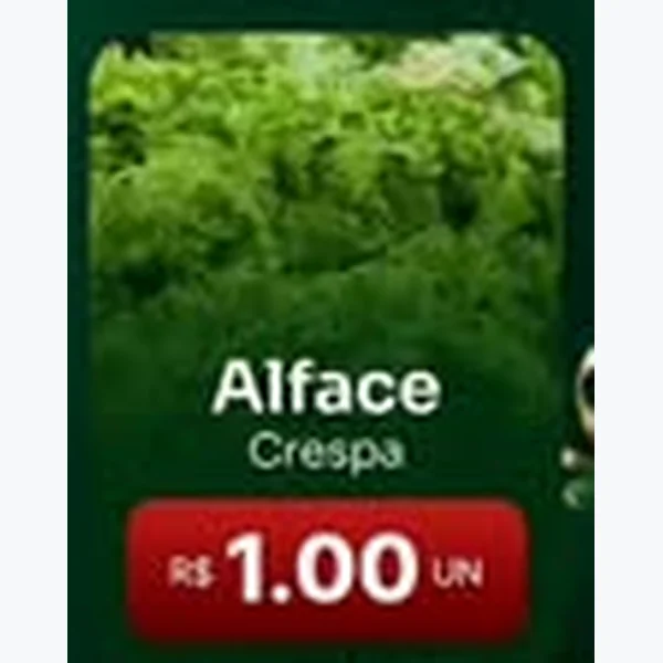 Alface Crespa