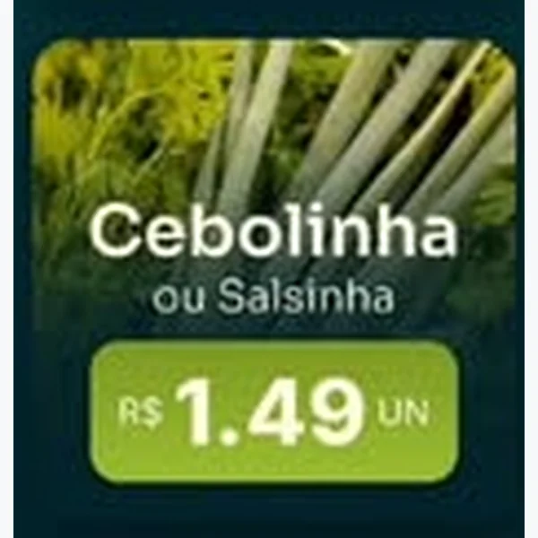 Salsinha