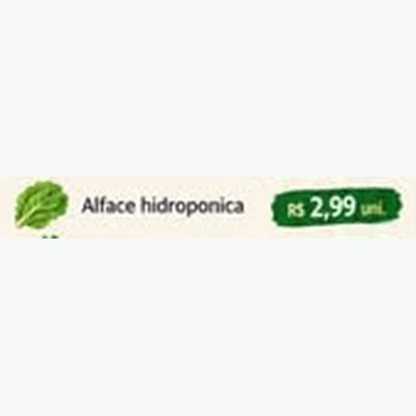 Alface Hidropônica