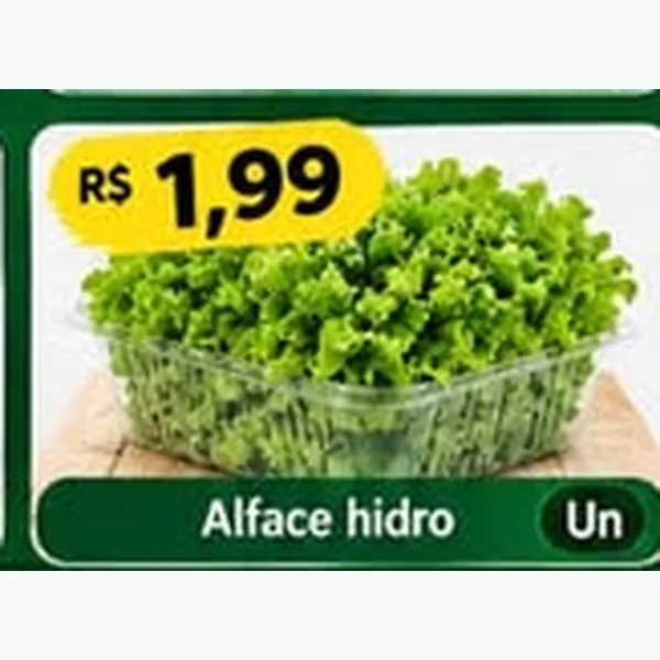Alface Hidropônica