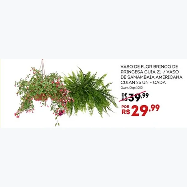 Vaso de Samambaia Americana Cuia 25