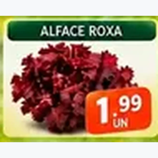 Alface Roxa