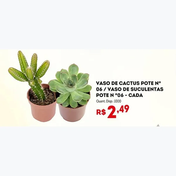 Recorte do encarte de Vaso de Cactus Pote Nº 06
