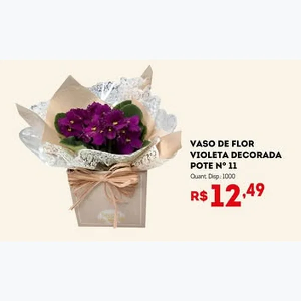 Recorte do encarte de Vaso de Flor Violeta Decorada Pote Nº 11