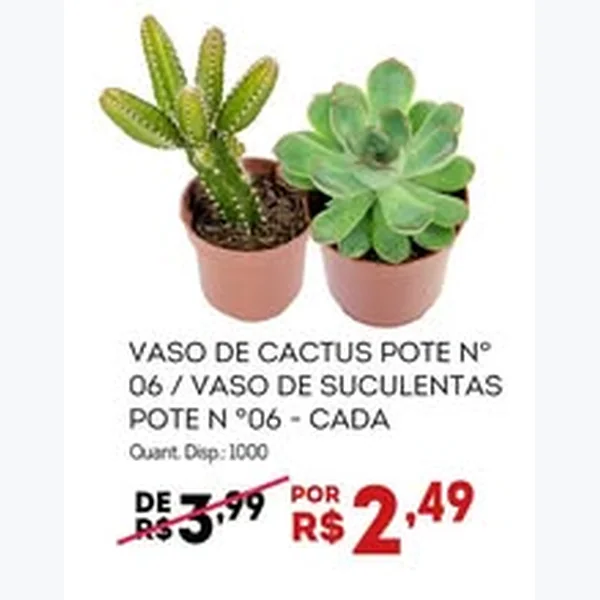 Vaso de Suculentas Pote N 06