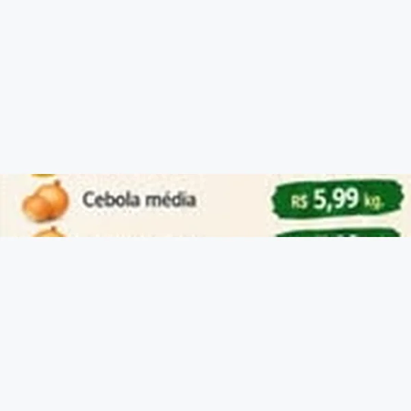 Cebola Média