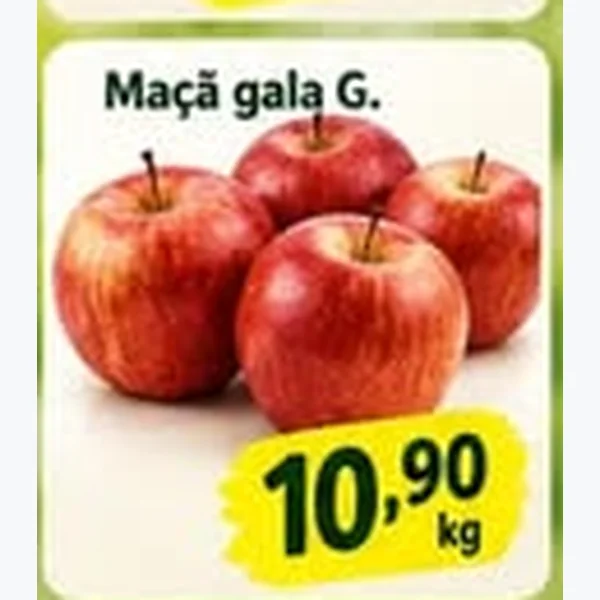 Maçã Gala G.