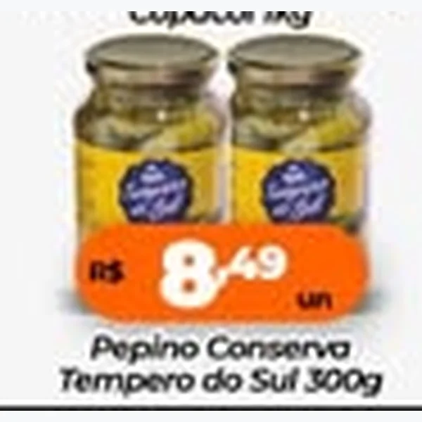 Pepino Conserva Tempero do Sul 300 g