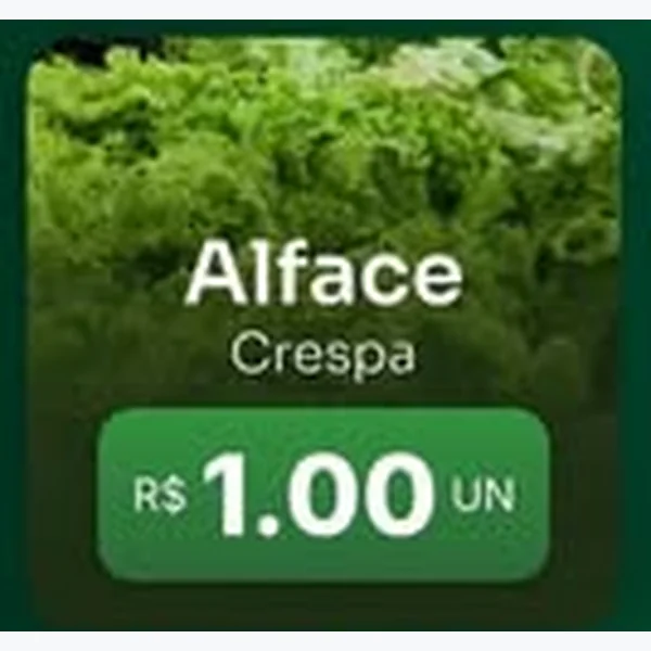 Alface Crespa