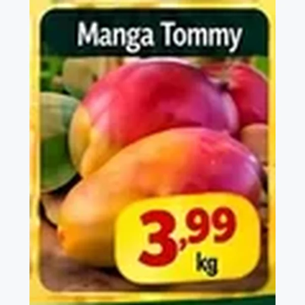 Manga Tommy