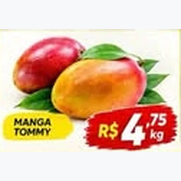 Manga Tommy