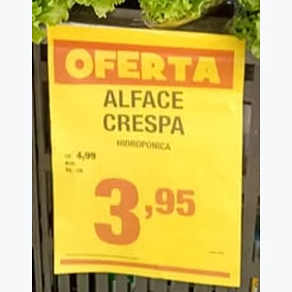 Recorte do encarte de Alface Crespa Hidropônica