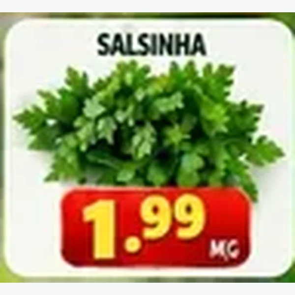Salsinha