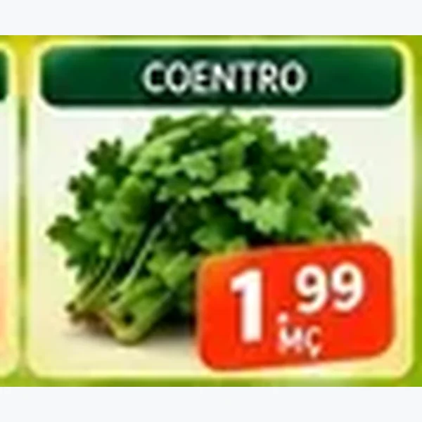 Coentro