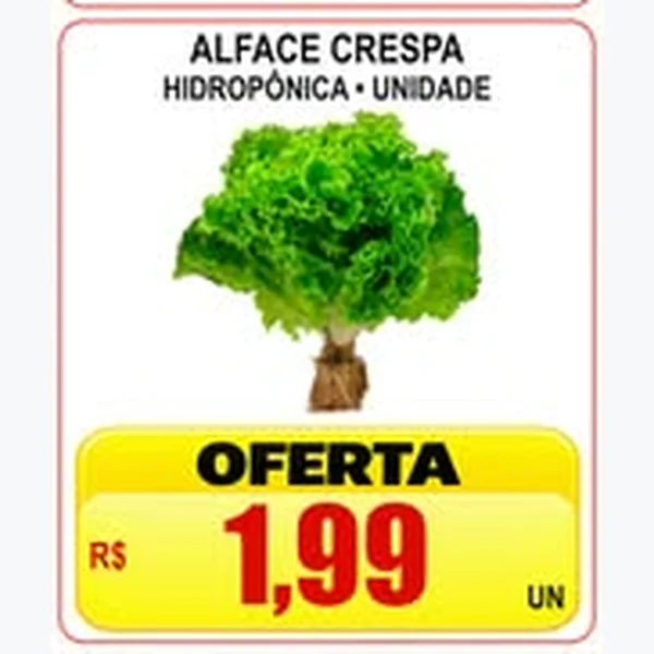 Recorte do encarte de Alface Crespa Hidropônica