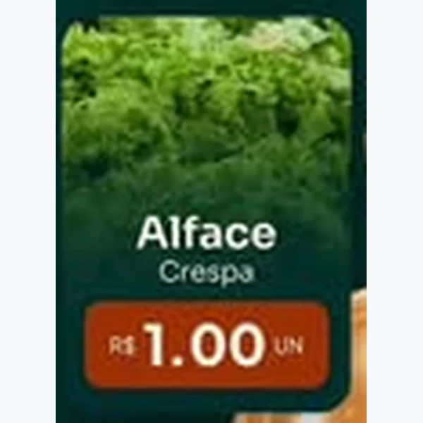 Alface Crespa