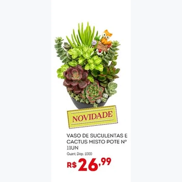 Recorte do encarte de Vaso de Suculentas e Cactus Misto 11 un